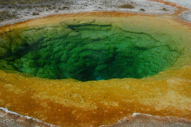 Morning Glory Pool